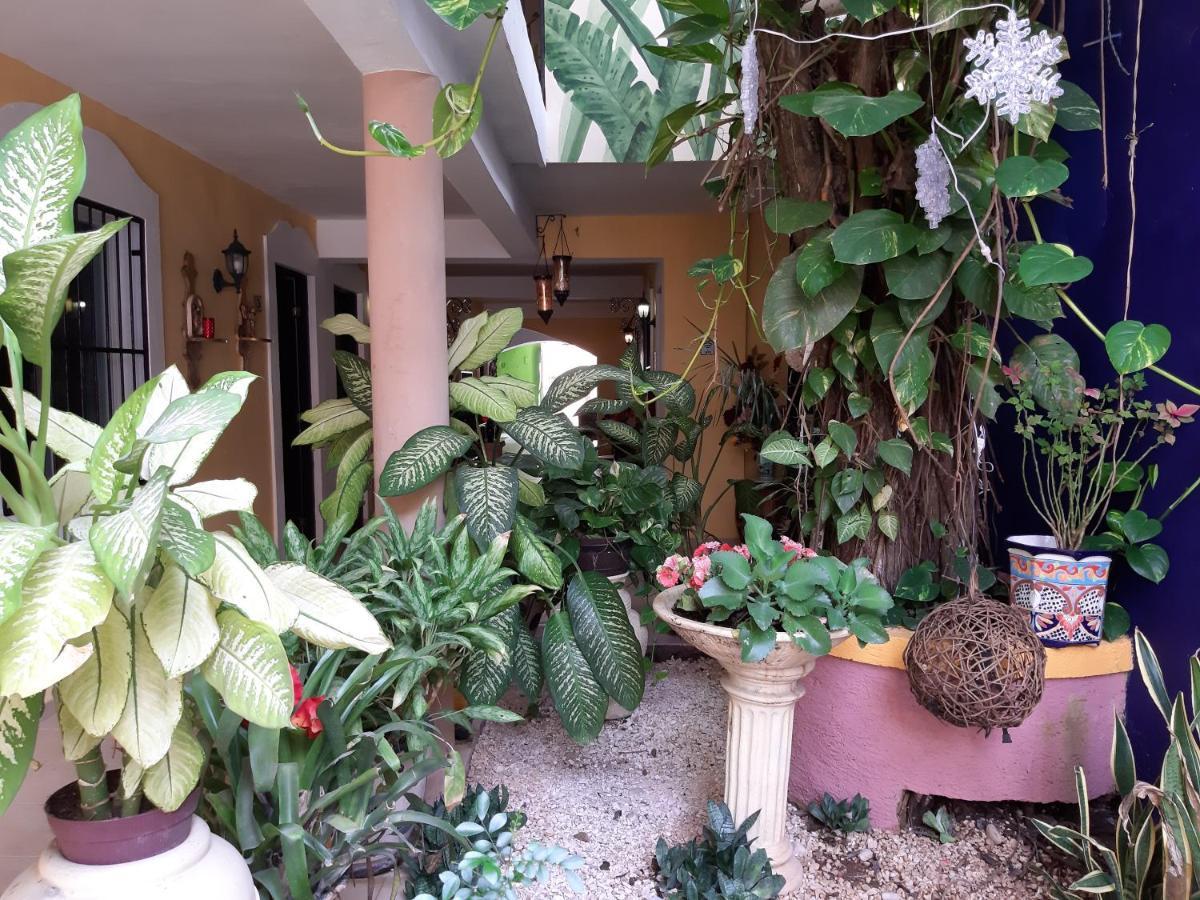 Hotel Palacio Canton バリャドリッド エクステリア 写真